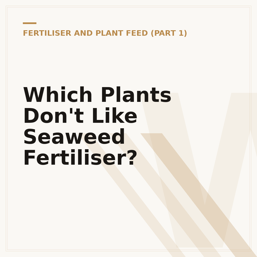 Which Plants Don't Like Seaweed Fertiliser?