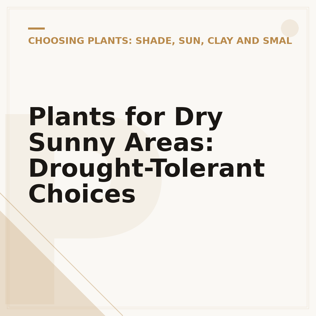 Plants for Dry Sunny Areas: Drought-Tolerant Choices