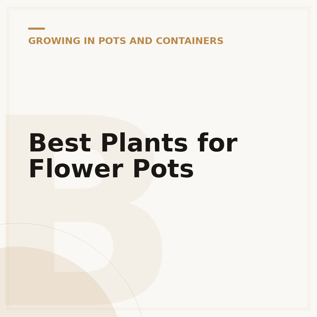 Best Plants for Flower Pots
