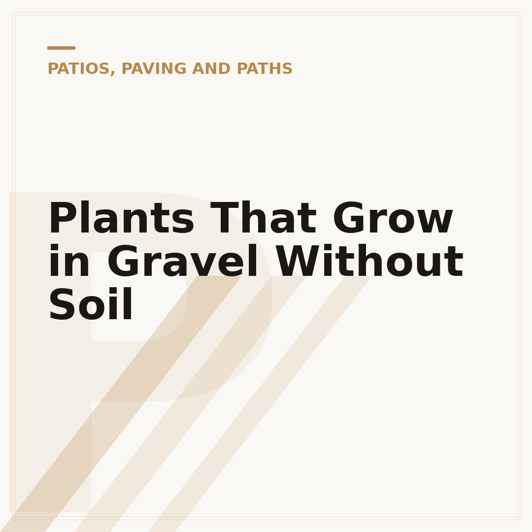 Plants That Grow in Gravel Without Soil