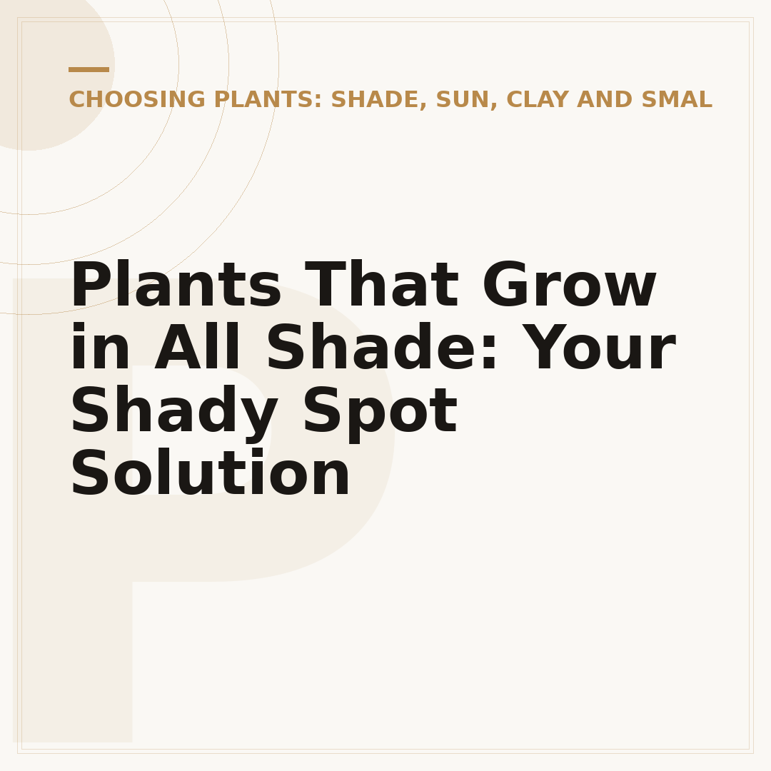 Plants That Grow in All Shade: Your Shady Spot Solution