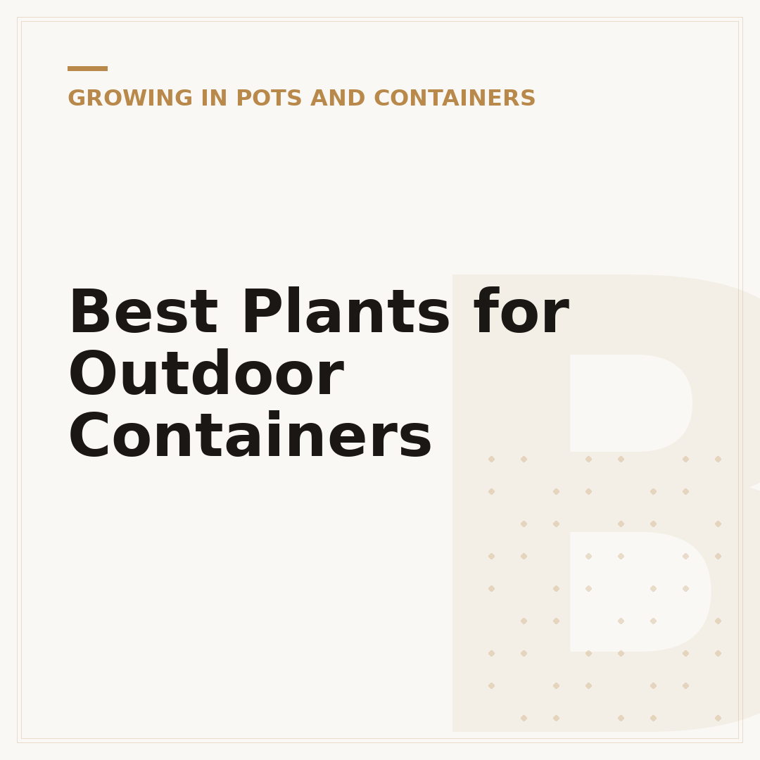 Best Plants for Outdoor Containers