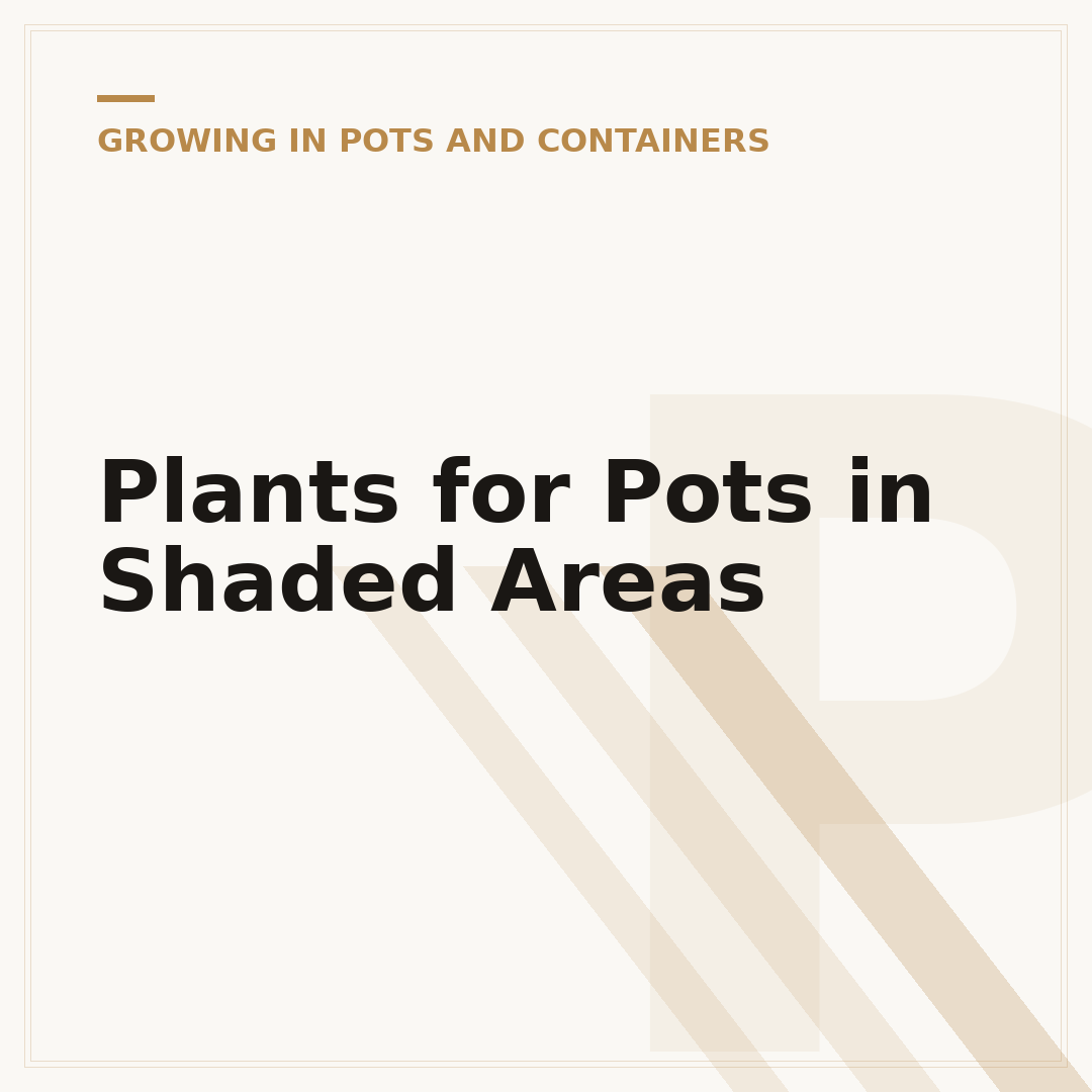 Plants for Pots in Shaded Areas