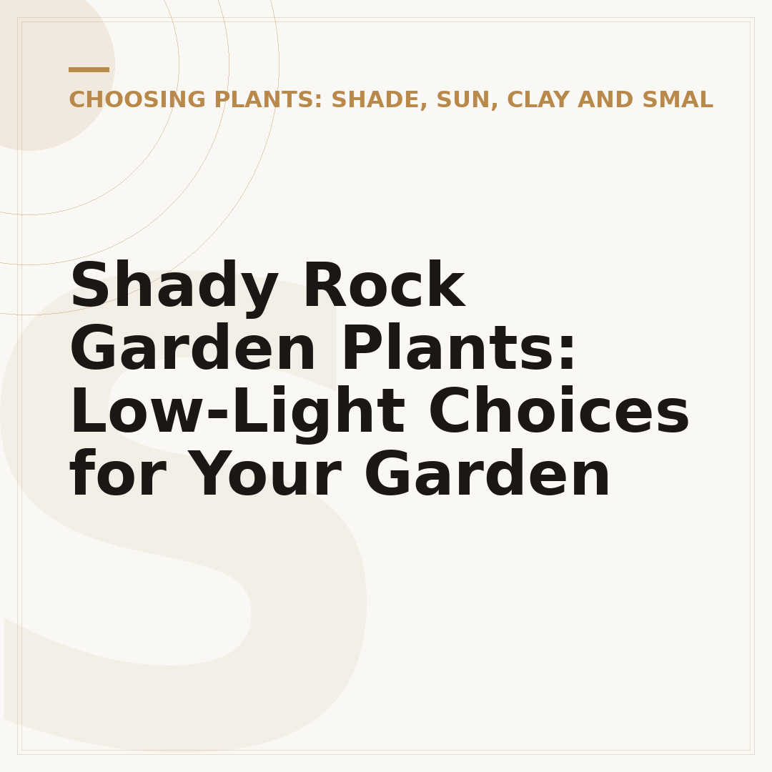 Shady Rock Garden Plants: Low-Light Choices for Your Garden