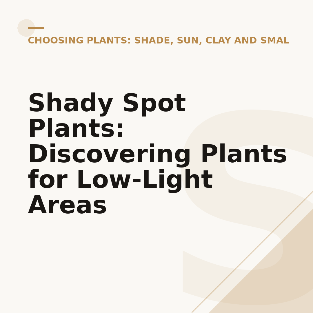 Shady Spot Plants: Discovering Plants for Low-Light Areas