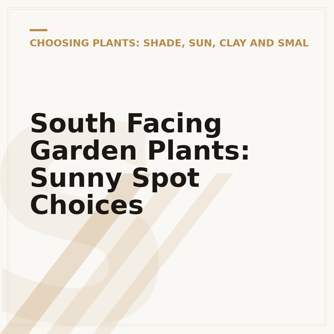 South Facing Garden Plants: Sunny Spot Choices