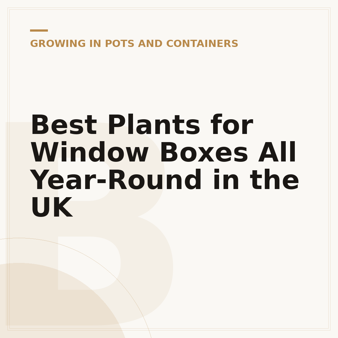 Best Plants for Window Boxes All Year-Round in the UK