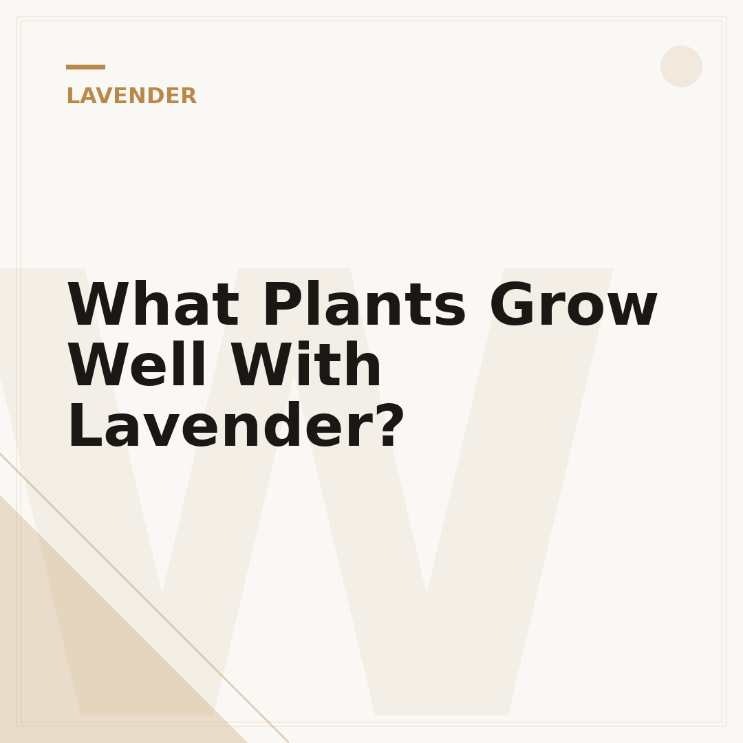 What Plants Grow Well With Lavender?