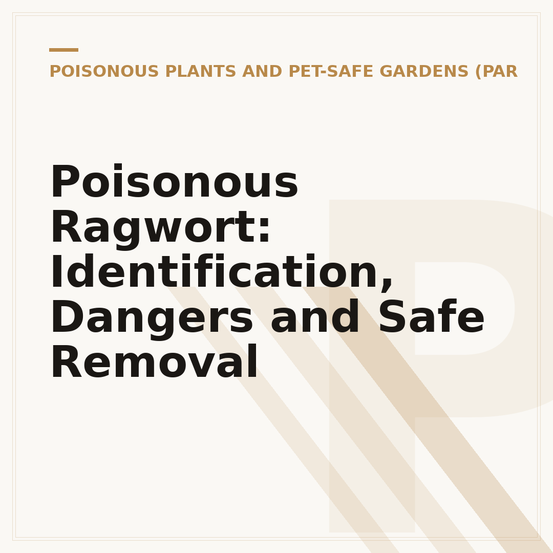 Poisonous Ragwort: Identification, Dangers and Safe Removal