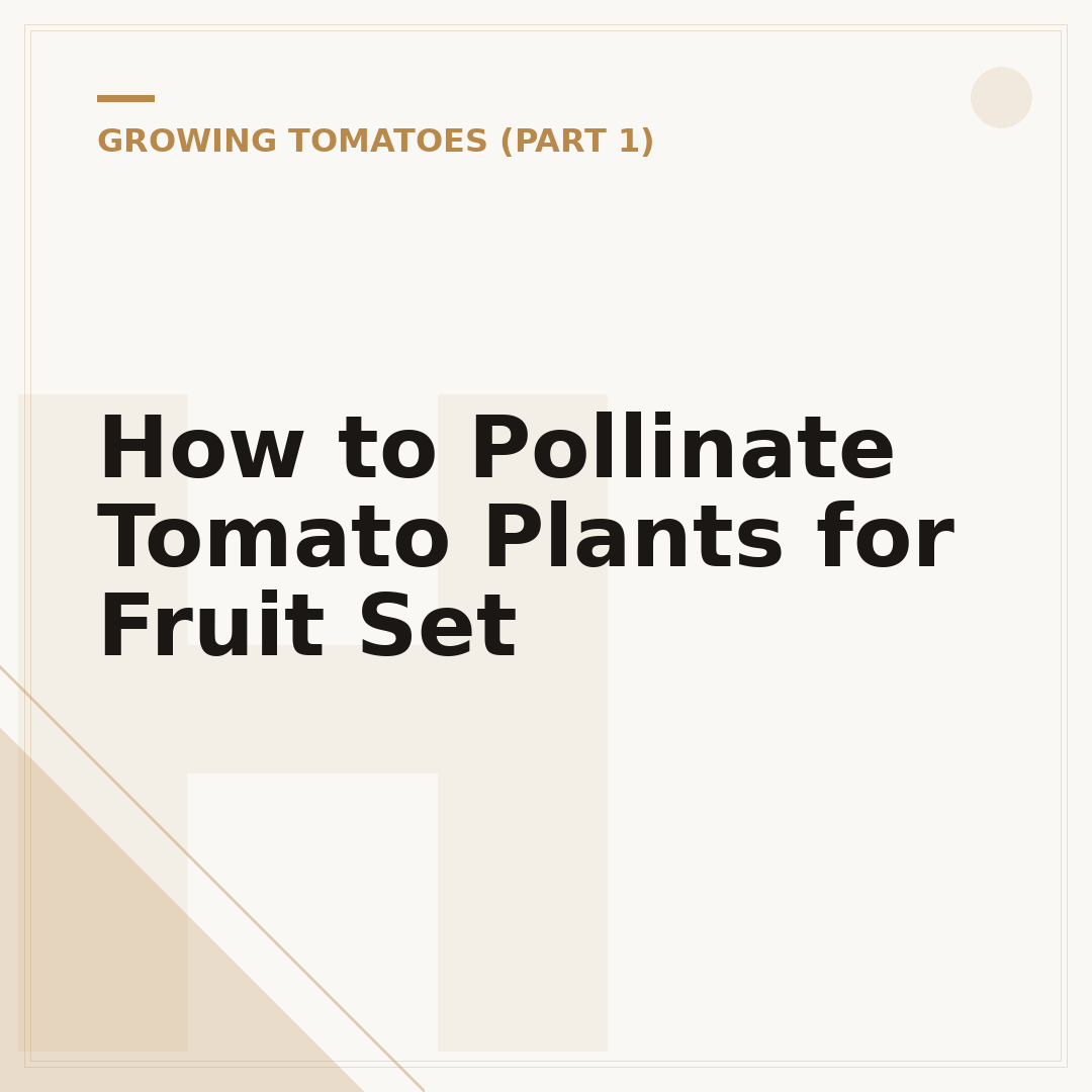 How to Pollinate Tomato Plants for Fruit Set