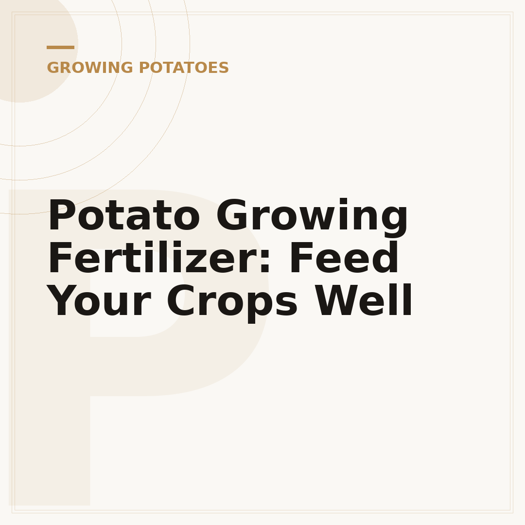 Potato Growing Fertilizer: Feed Your Crops Well
