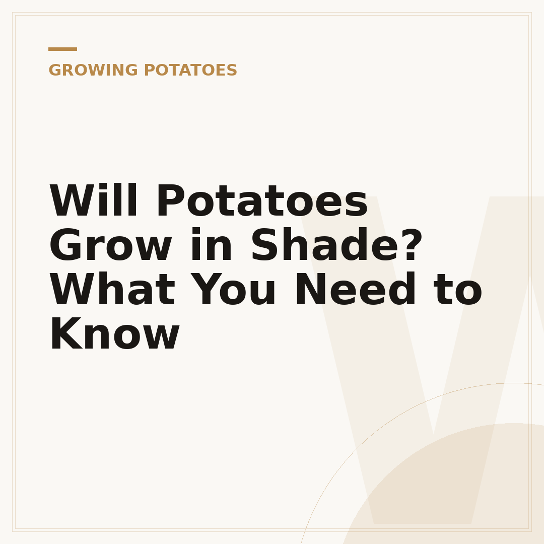 Will Potatoes Grow in Shade? What You Need to Know