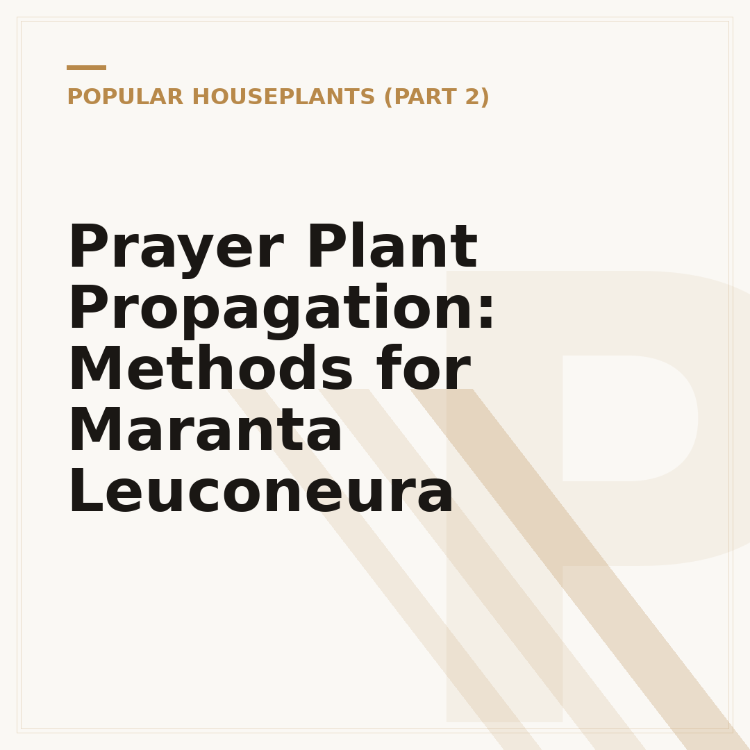 Prayer Plant Propagation: Methods for Maranta Leuconeura