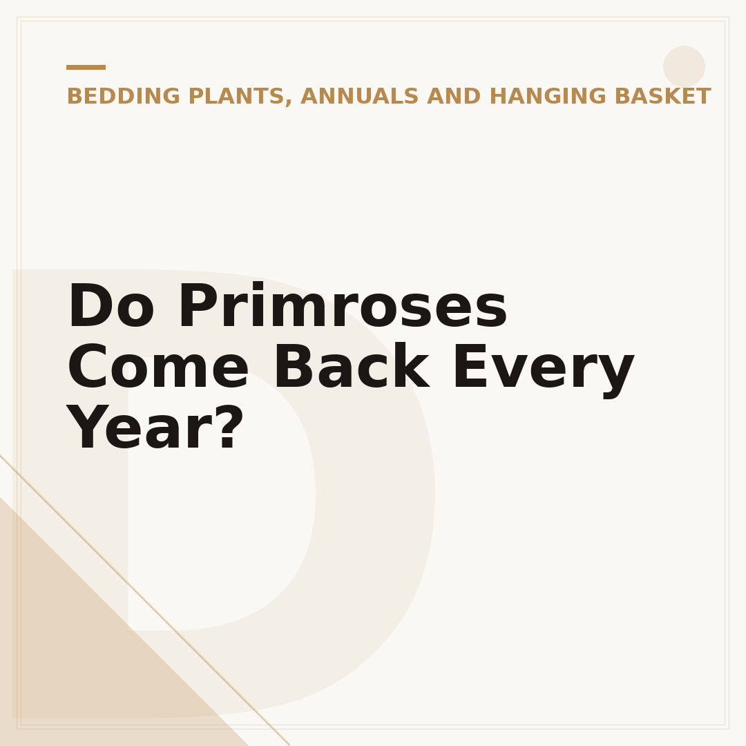 Do Primroses Come Back Every Year?