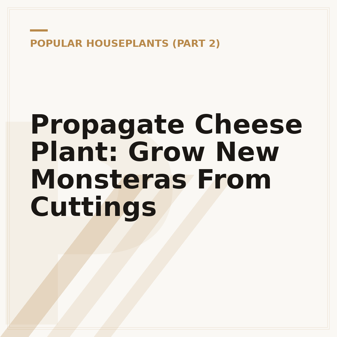 Propagate Cheese Plant: Grow New Monsteras From Cuttings