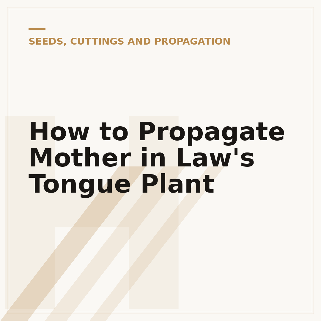 How to Propagate Mother in Law's Tongue Plant