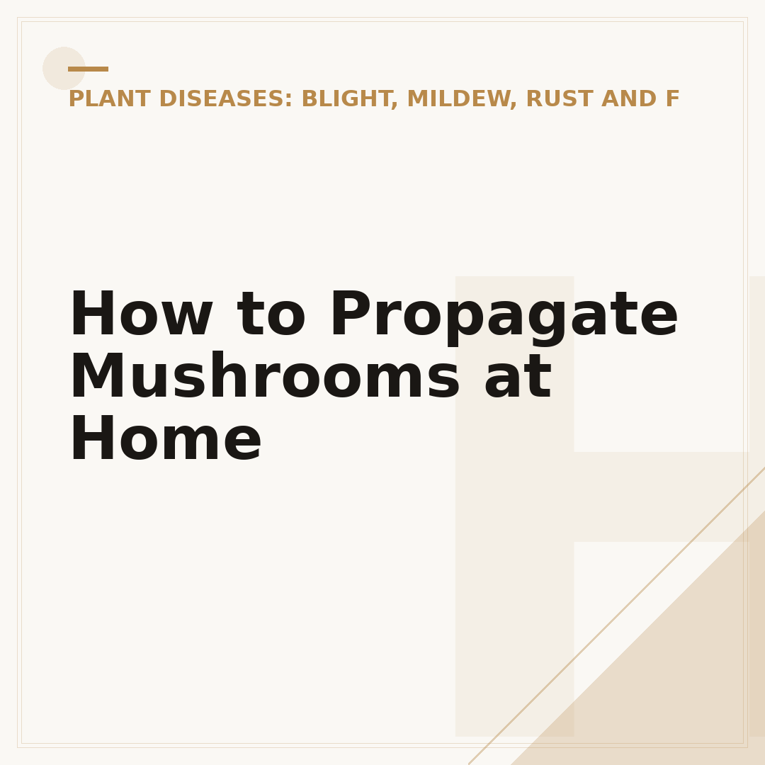 How to Propagate Mushrooms at Home