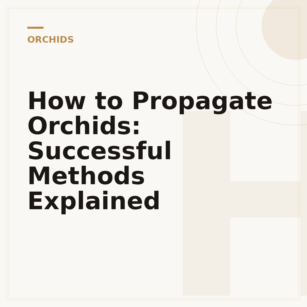 How to Propagate Orchids: Successful Methods Explained