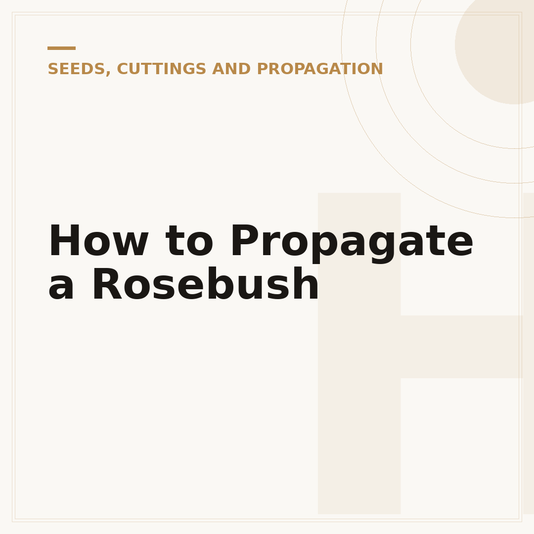 How to Propagate a Rosebush