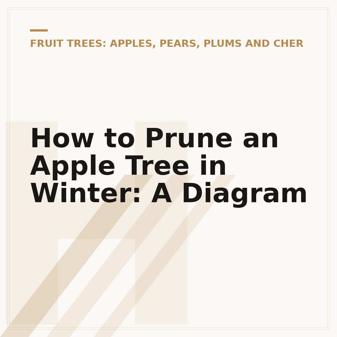 How to Prune an Apple Tree in Winter: A Diagram