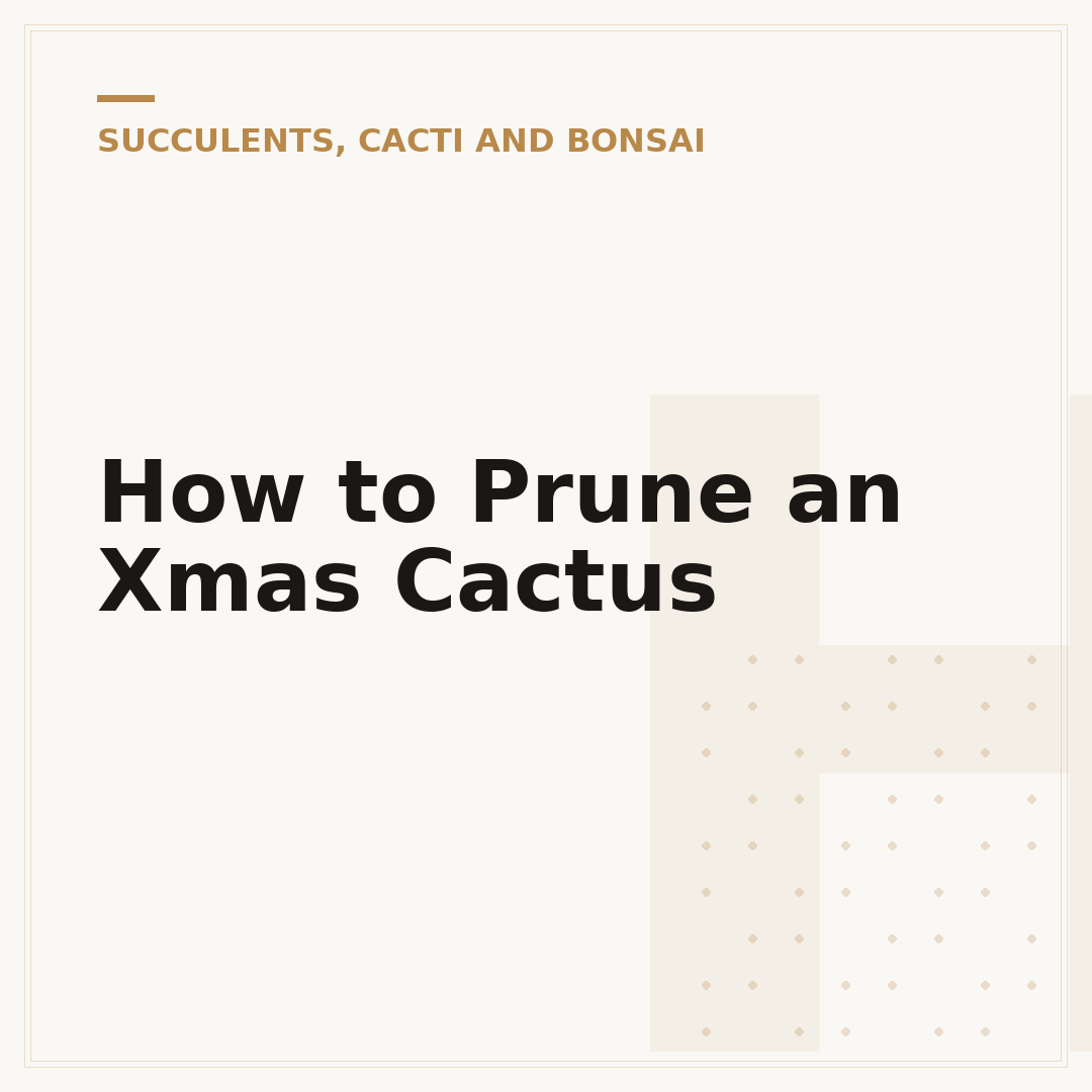How to Prune an Xmas Cactus