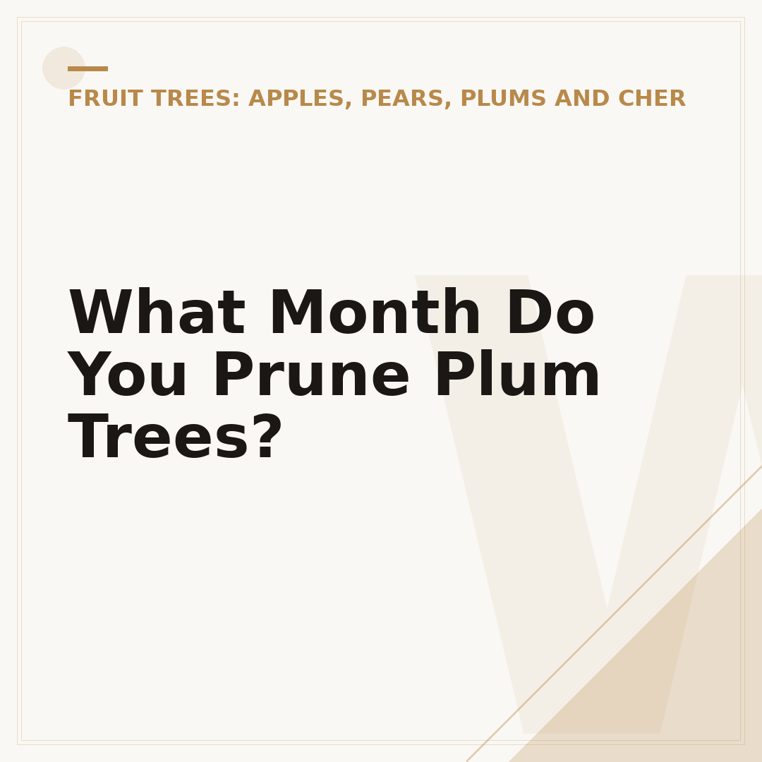 What Month Do You Prune Plum Trees?
