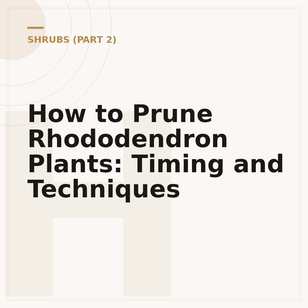 How to Prune Rhododendron Plants: Timing and Techniques