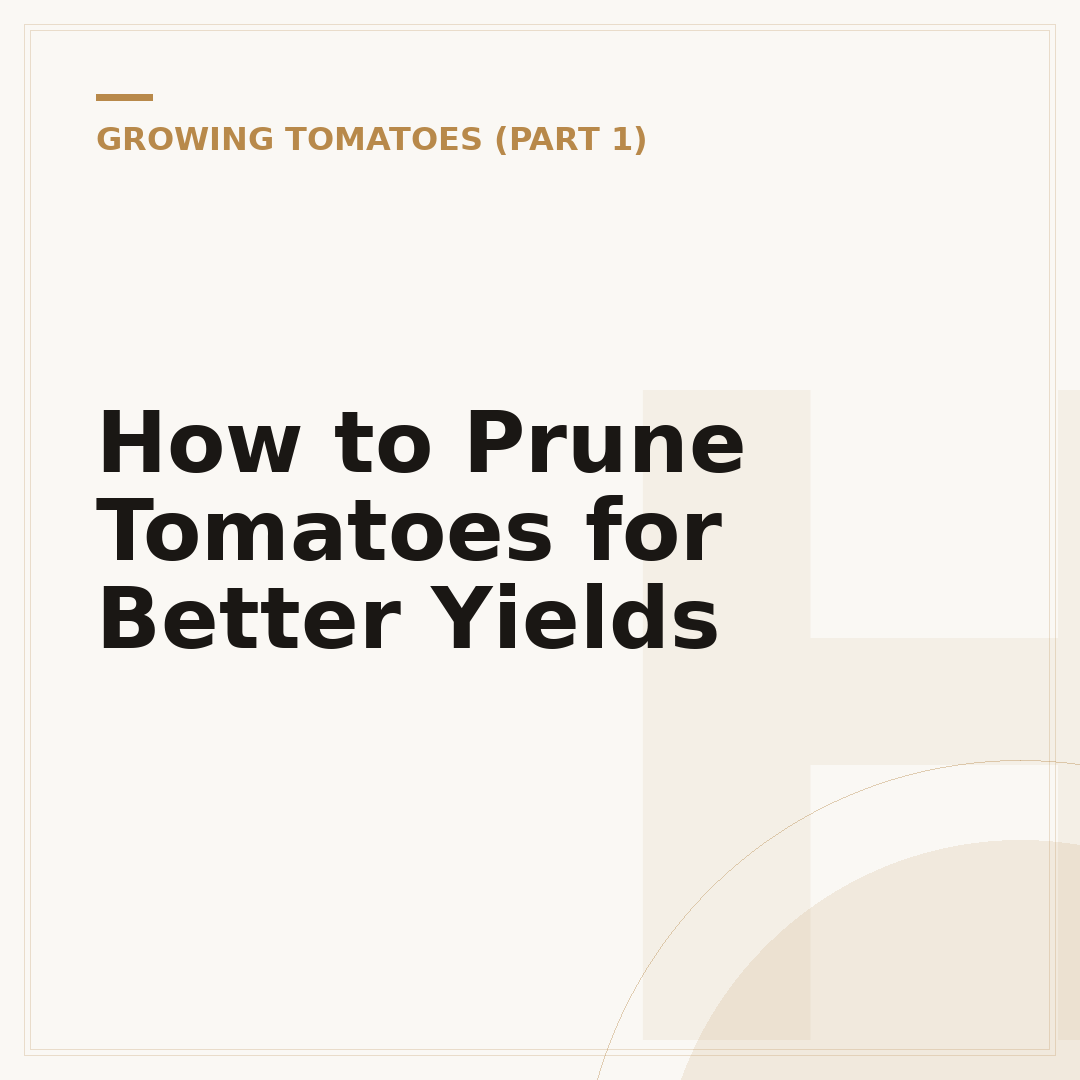How to Prune Tomatoes for Better Yields
