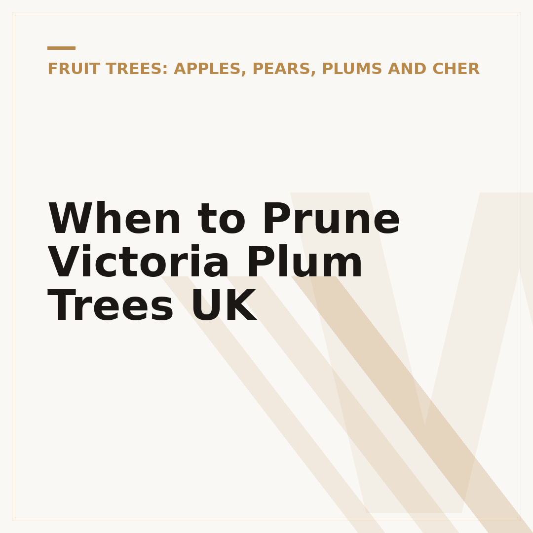 When to Prune Victoria Plum Trees UK