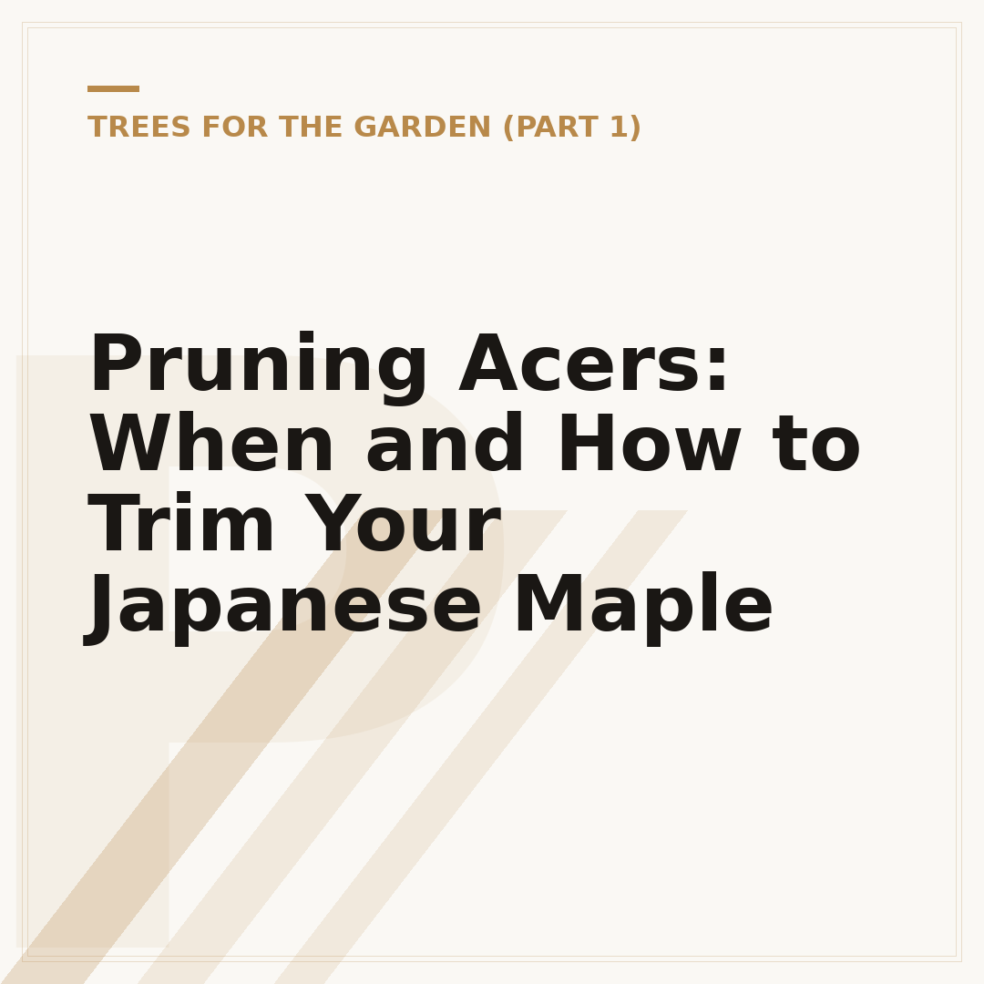 Pruning Acers: When and How to Trim Your Japanese Maple