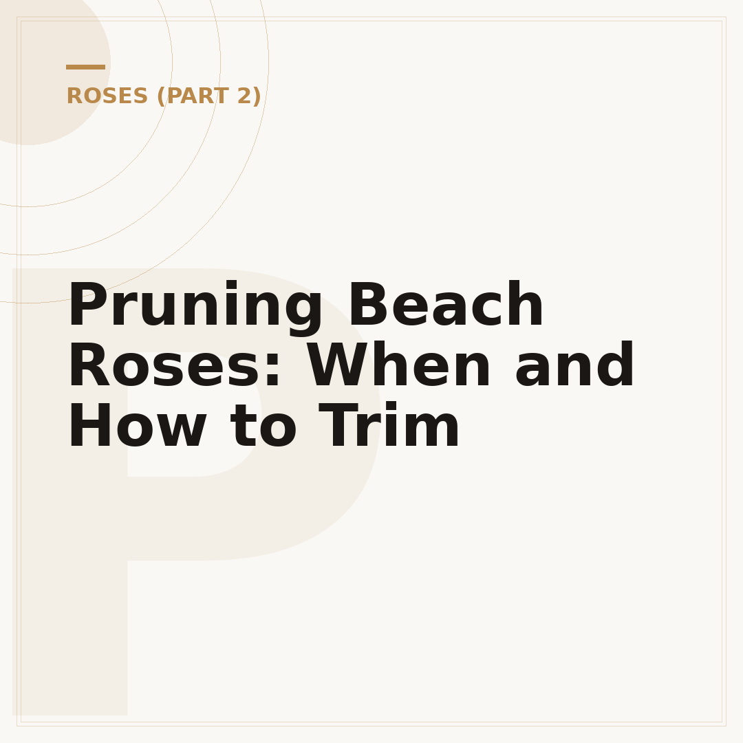 Pruning Beach Roses: When and How to Trim