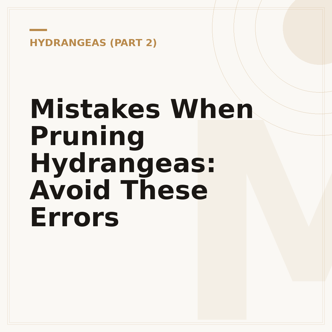 Mistakes When Pruning Hydrangeas: Avoid These Errors