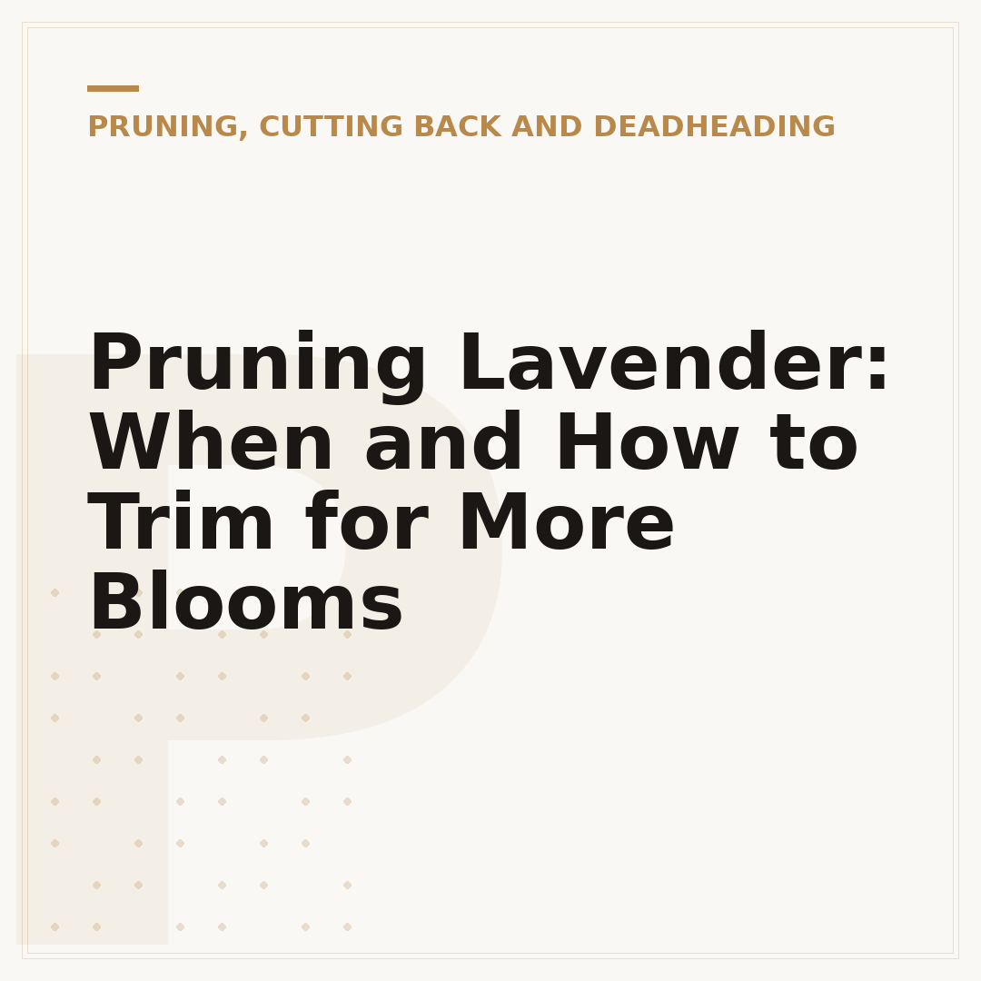 Pruning Lavender: When and How to Trim for More Blooms