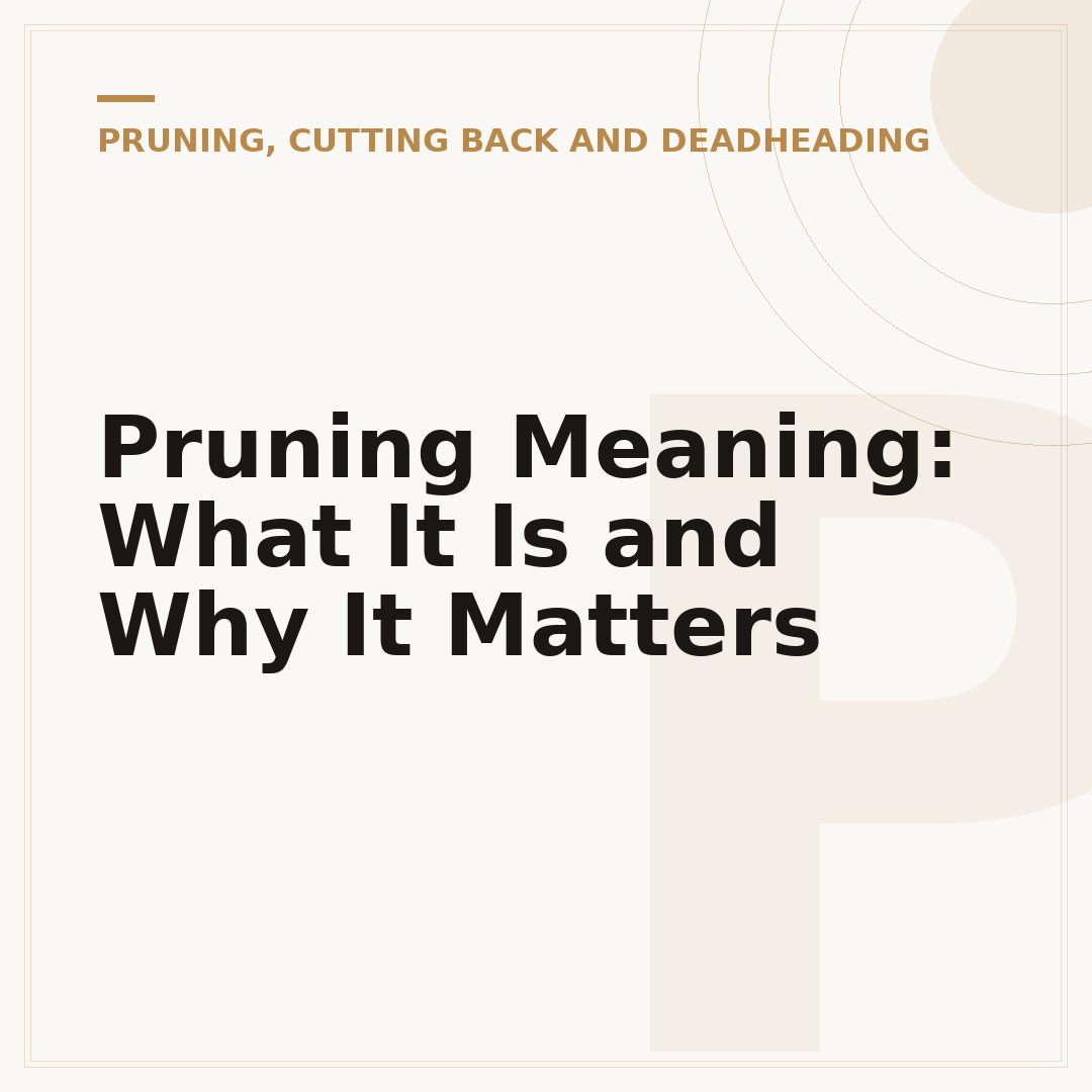 Pruning Meaning: What It Is and Why It Matters