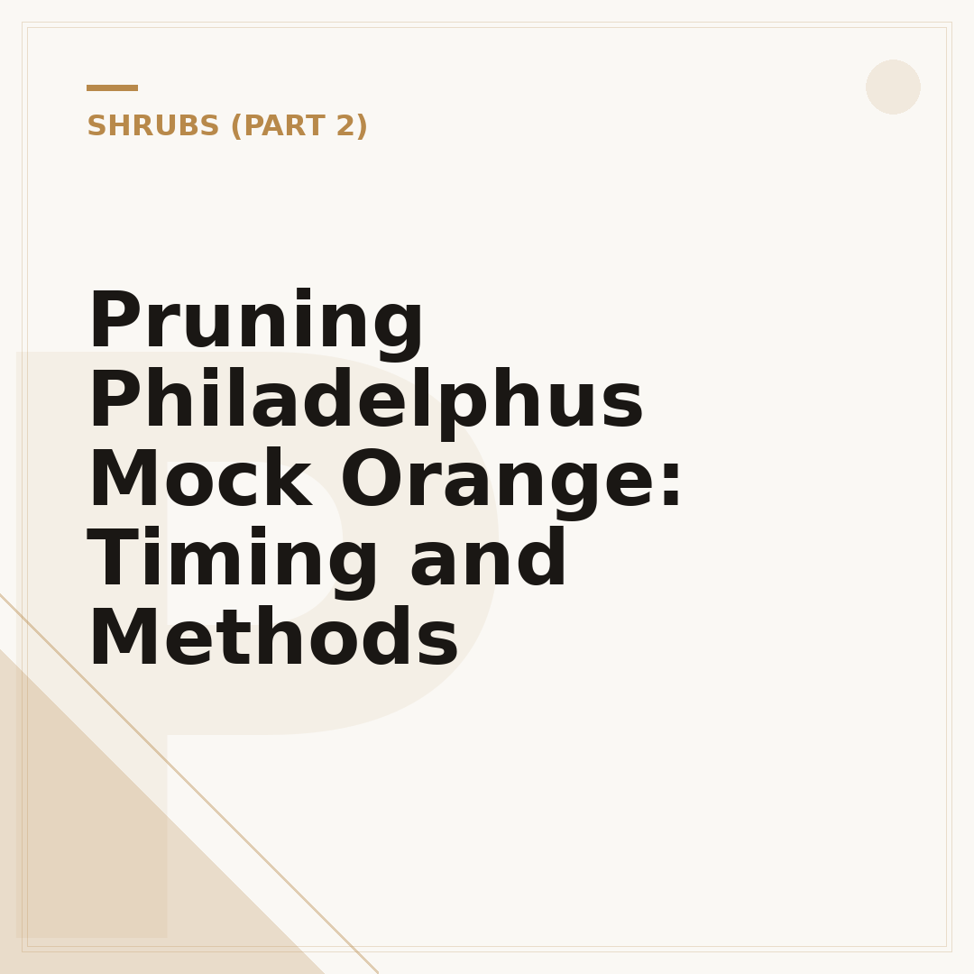 Pruning Philadelphus Mock Orange: Timing and Methods