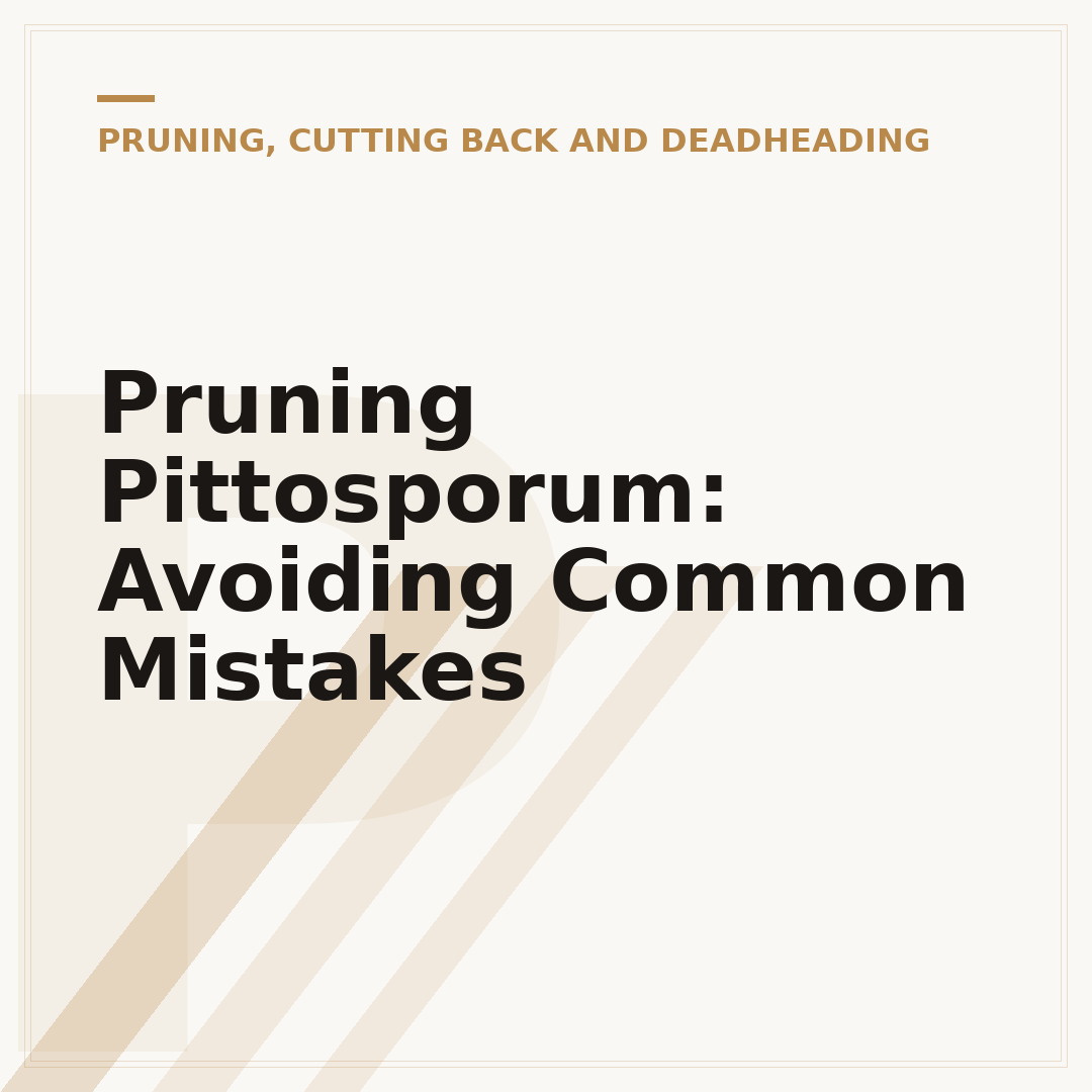 Pruning Pittosporum: Avoiding Common Mistakes
