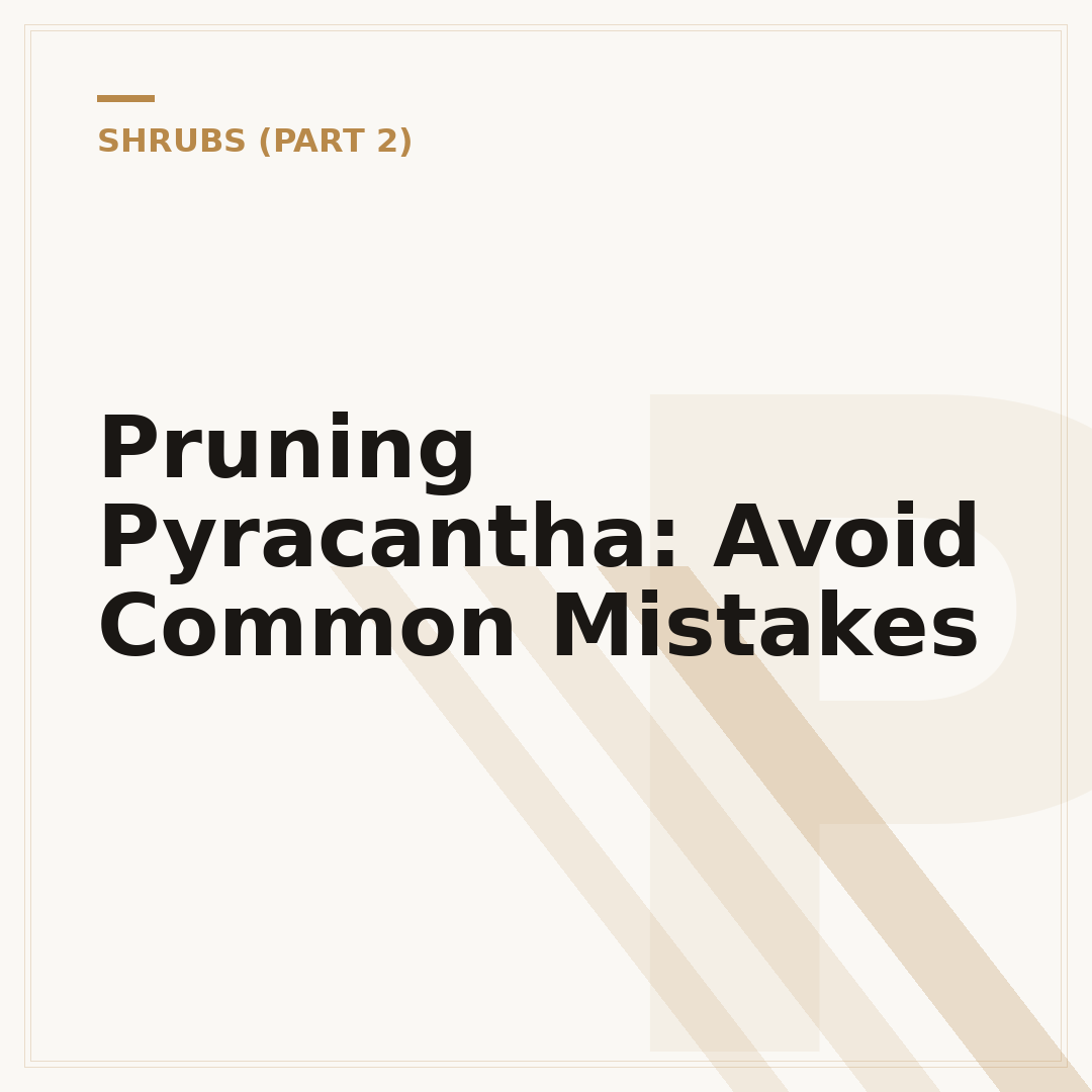 Pruning Pyracantha: Avoid Common Mistakes