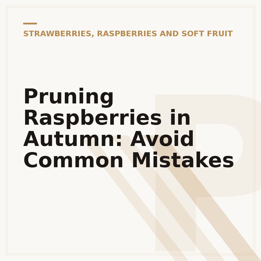 Pruning Raspberries in Autumn: Avoid Common Mistakes