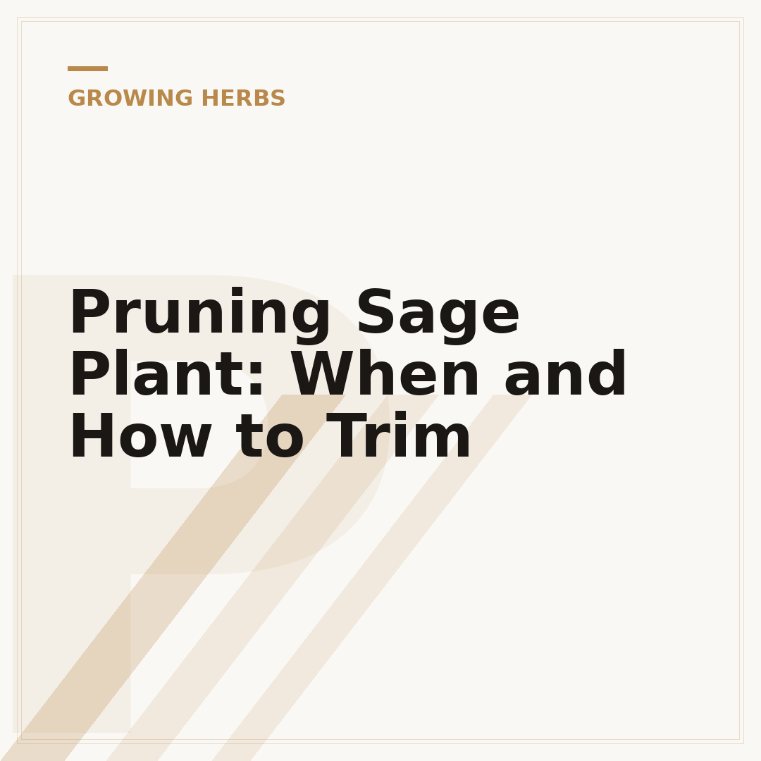 Pruning Sage Plant: When and How to Trim