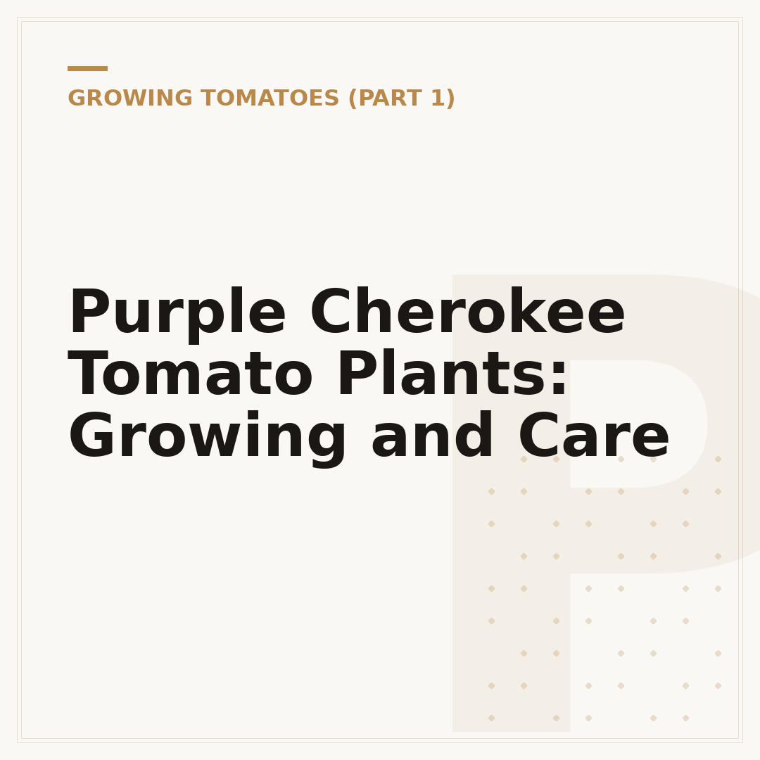 Purple Cherokee Tomato Plants: Growing and Care