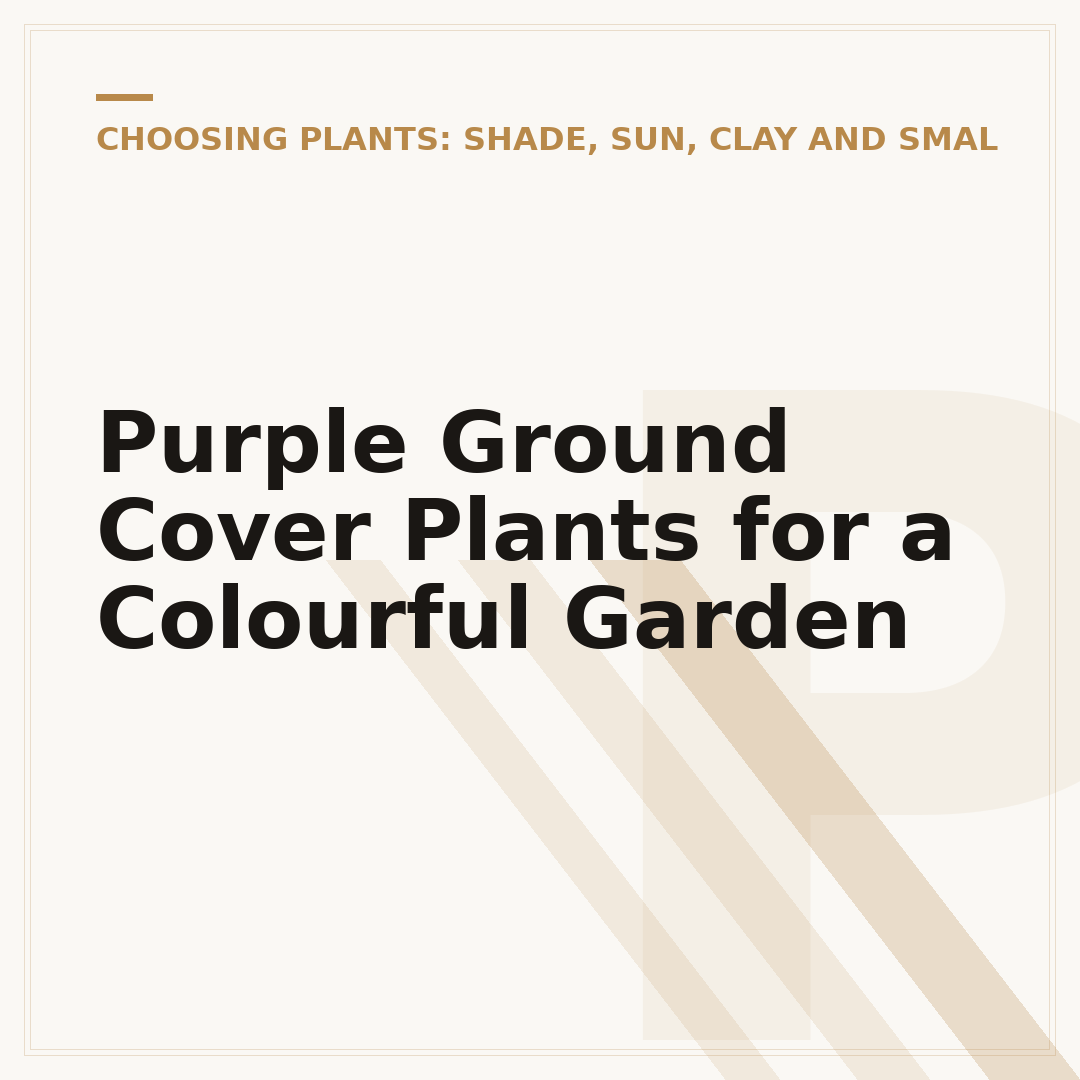 Purple Ground Cover Plants for a Colourful Garden