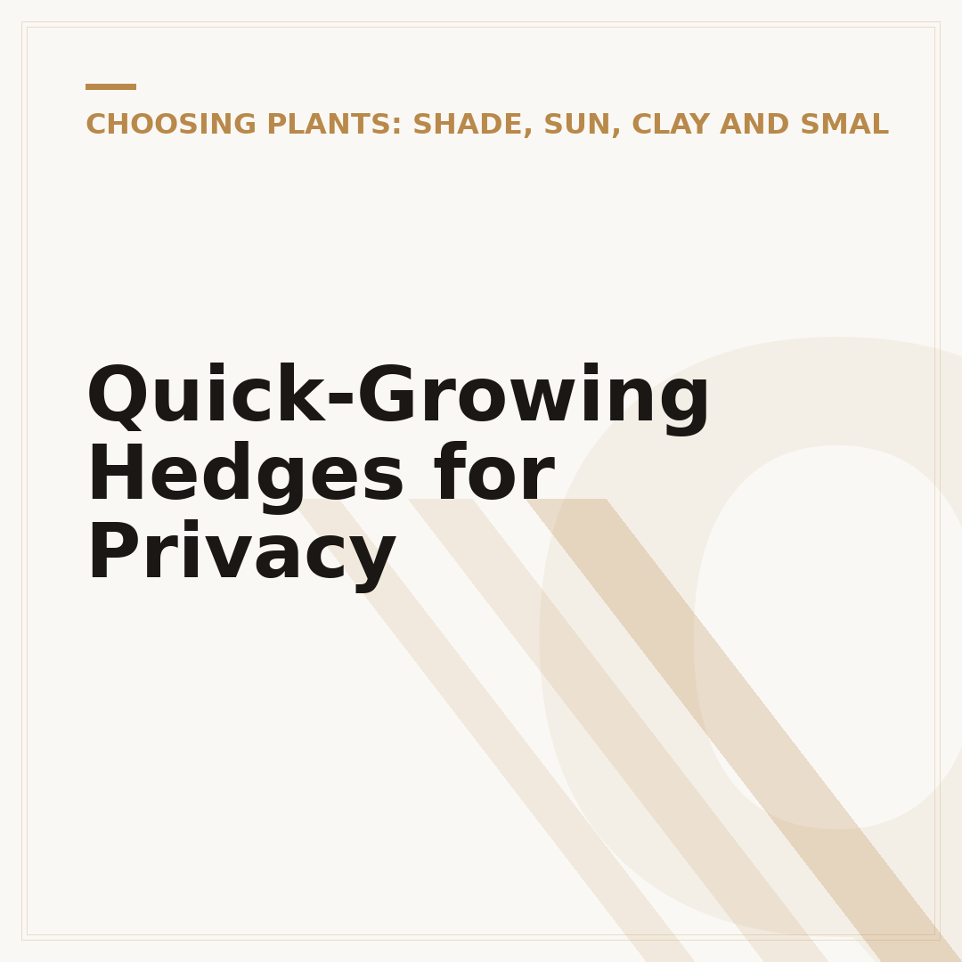 Quick-Growing Hedges for Privacy