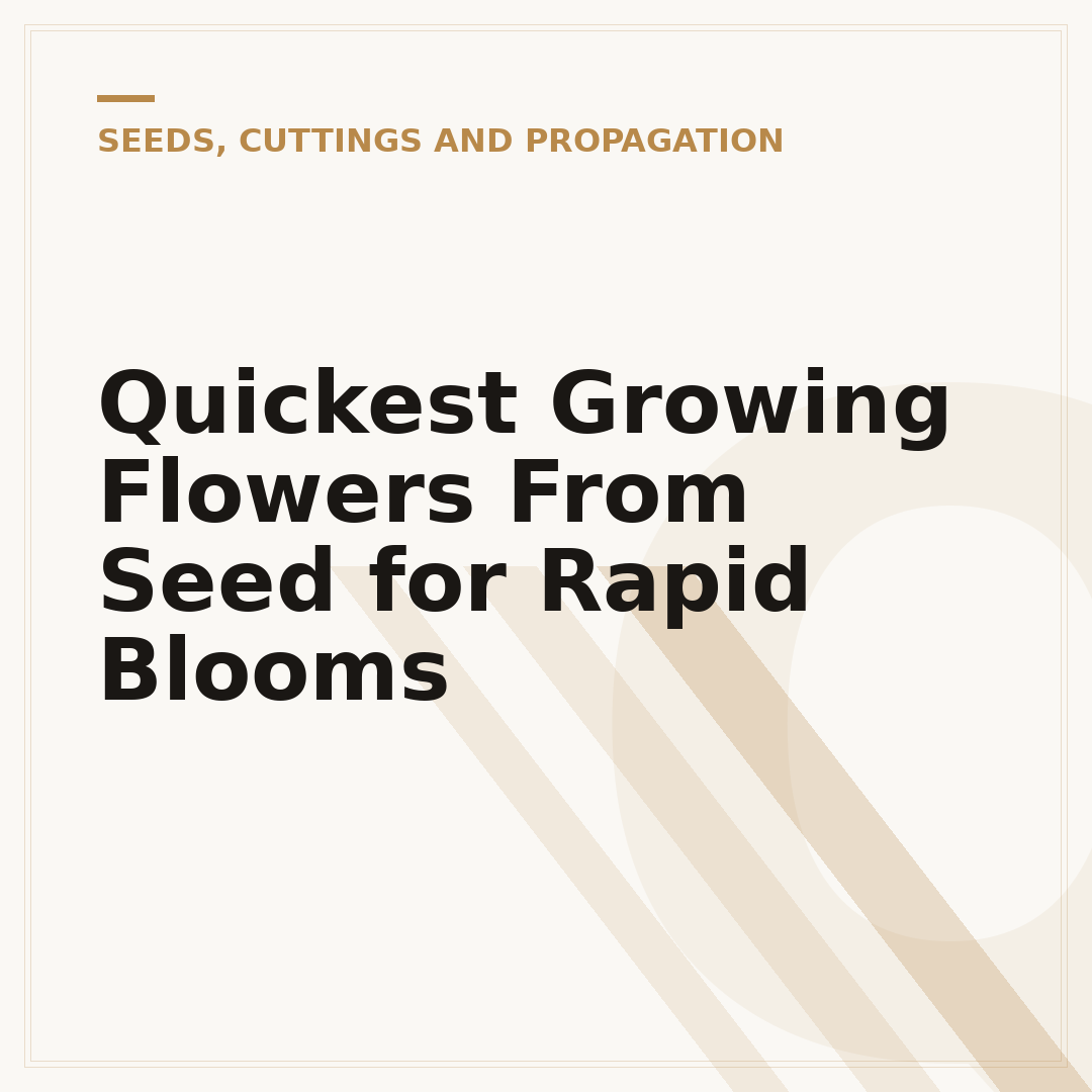 Quickest Growing Flowers From Seed for Rapid Blooms