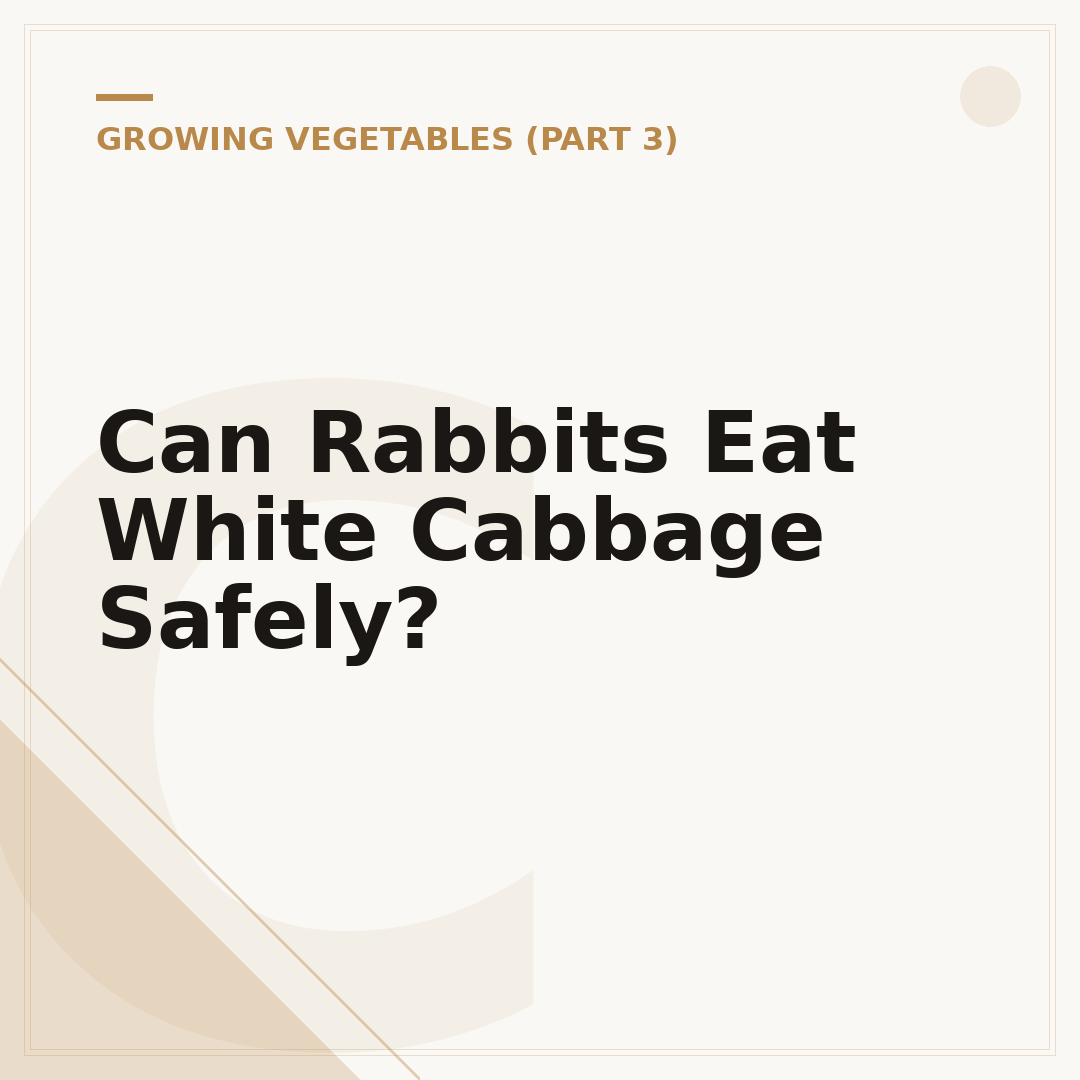 Can Rabbits Eat White Cabbage Safely?