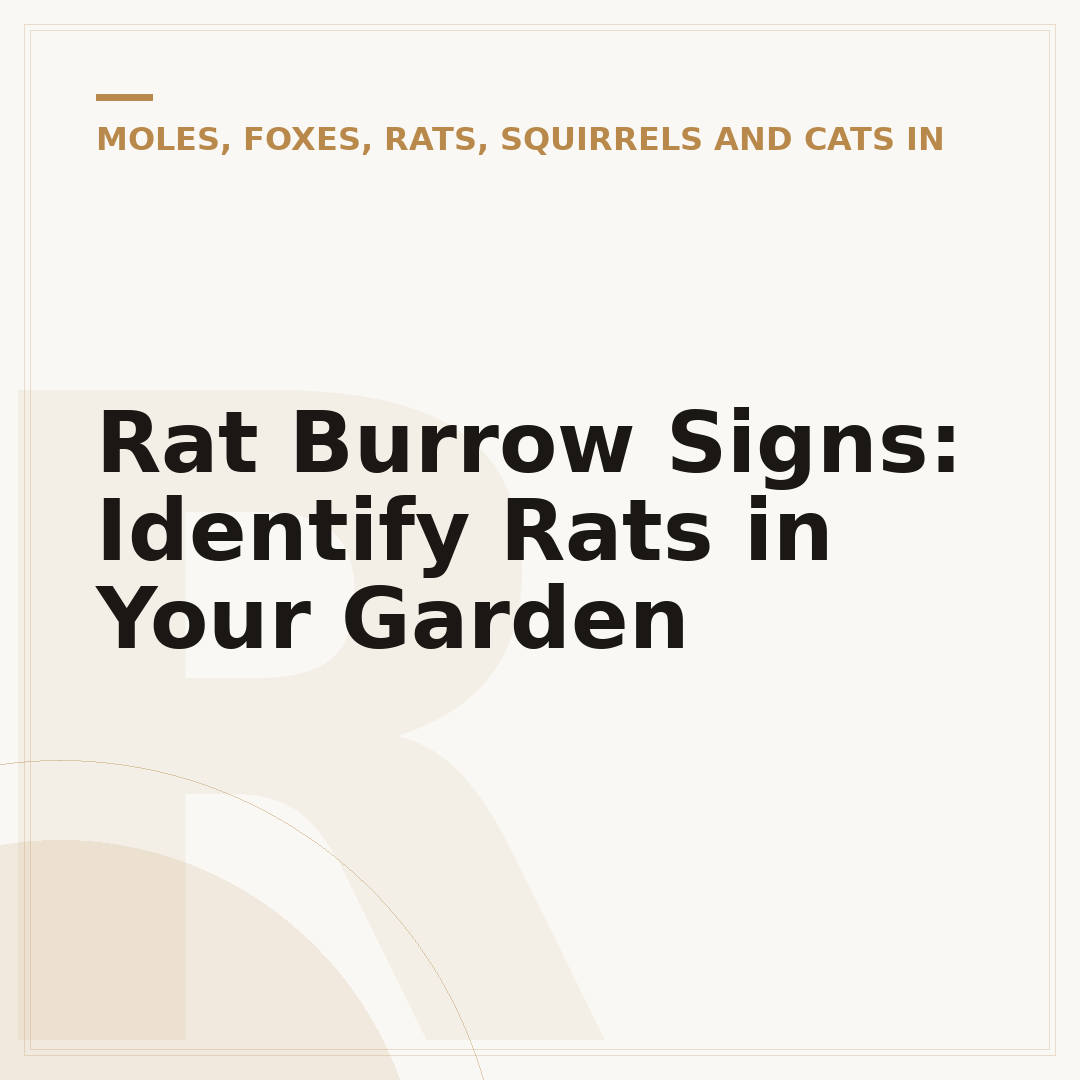 Rat Burrow Signs: Identify Rats in Your Garden