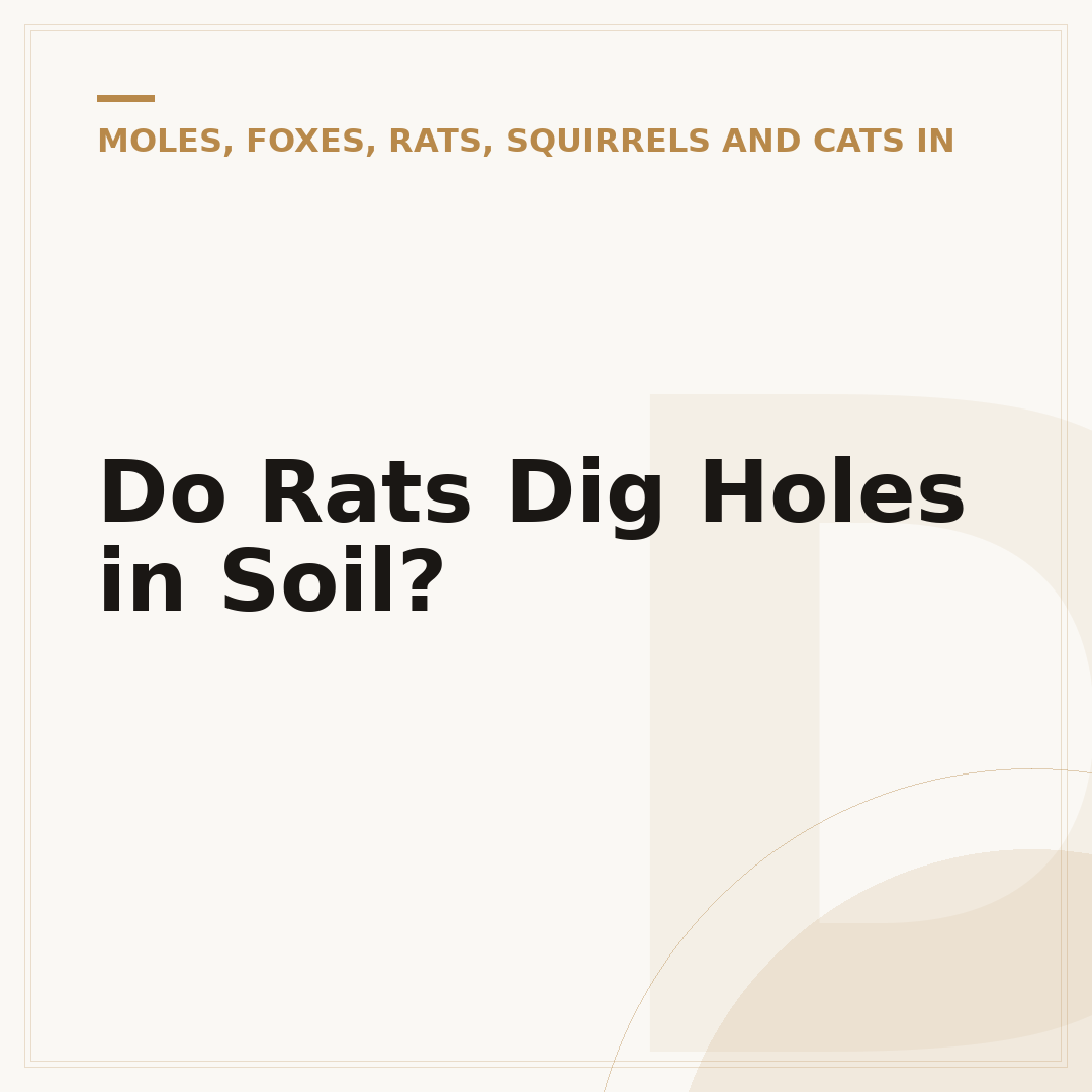Do Rats Dig Holes in Soil?