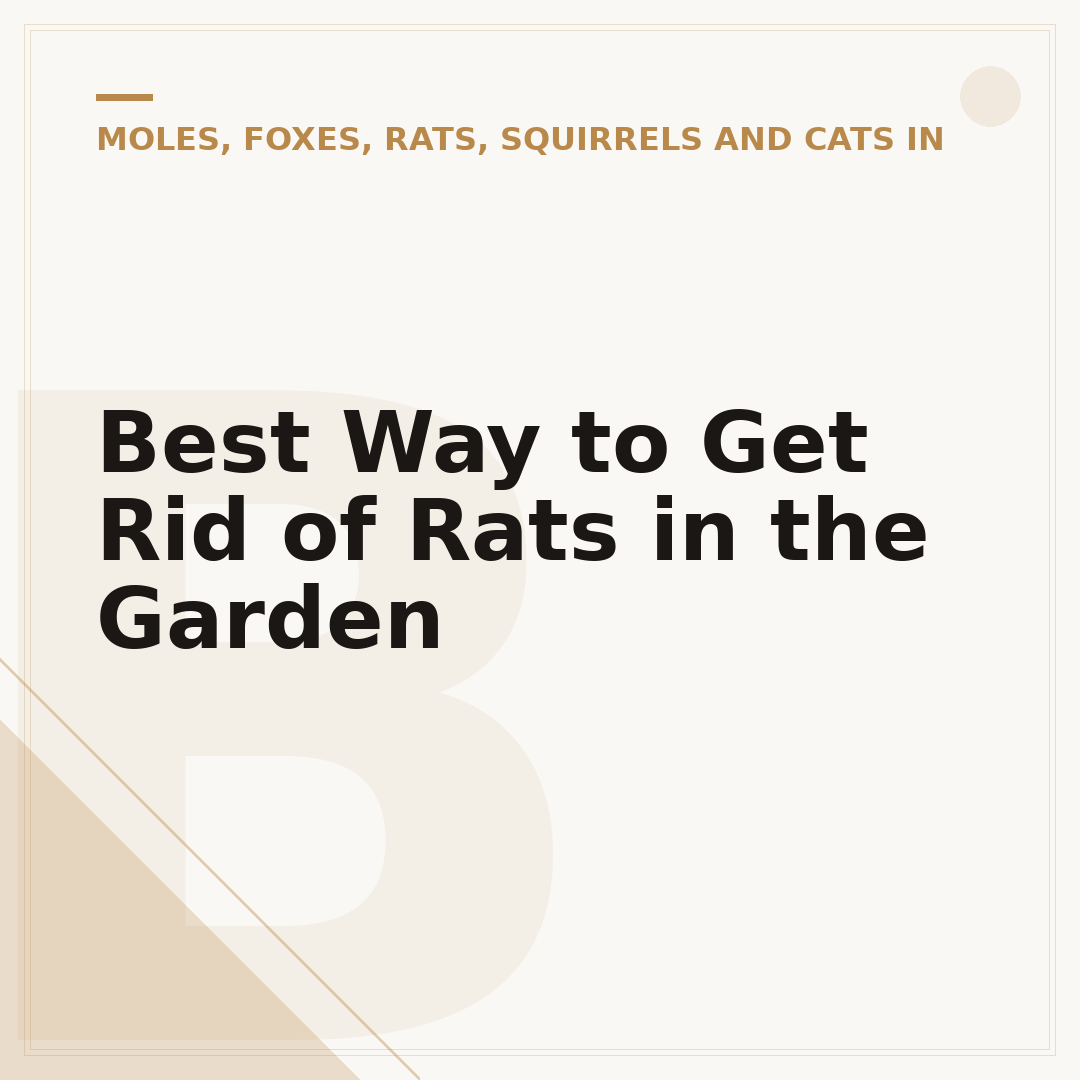 Best Way to Get Rid of Rats in the Garden