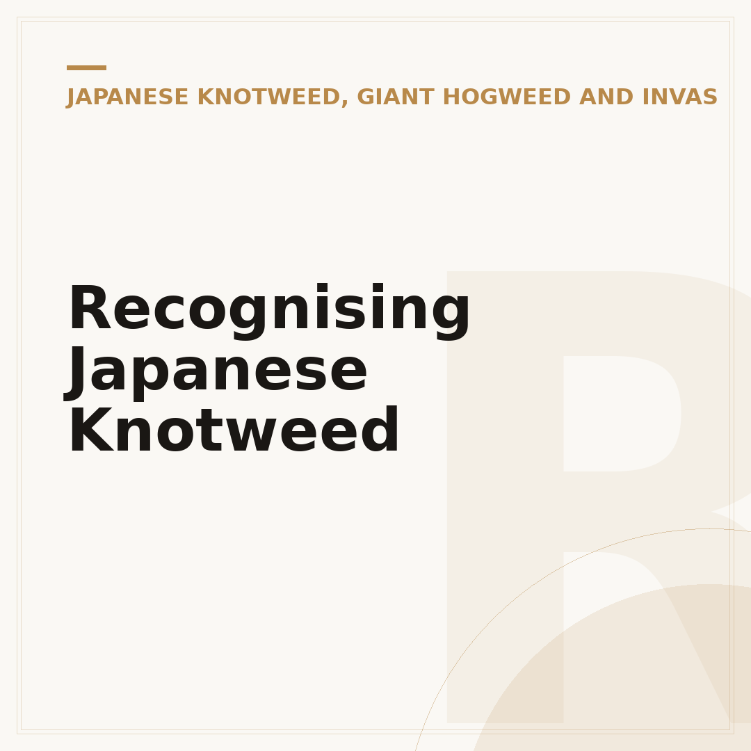 Recognising Japanese Knotweed