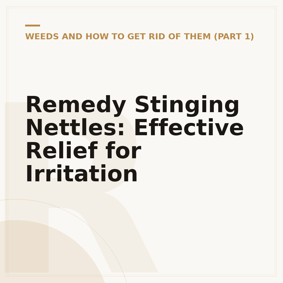 Remedy Stinging Nettles: Effective Relief for Irritation
