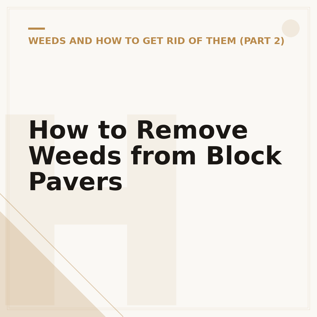 How to Remove Weeds from Block Pavers